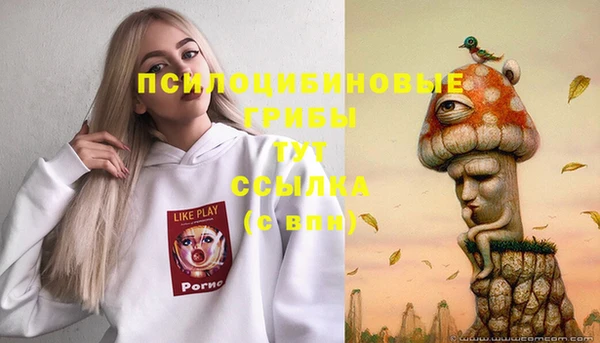 круглые Алзамай