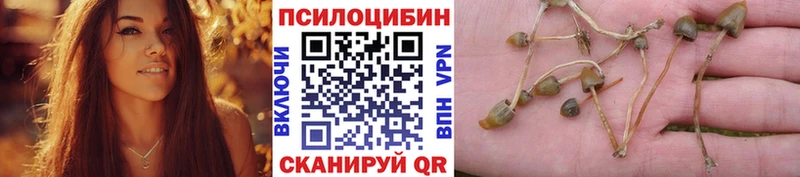 Галлюциногенные грибы Magic Shrooms  Новая Ладога 